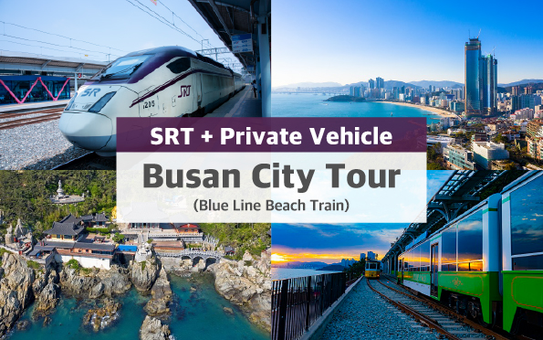SRT + 釜山私人包车游 