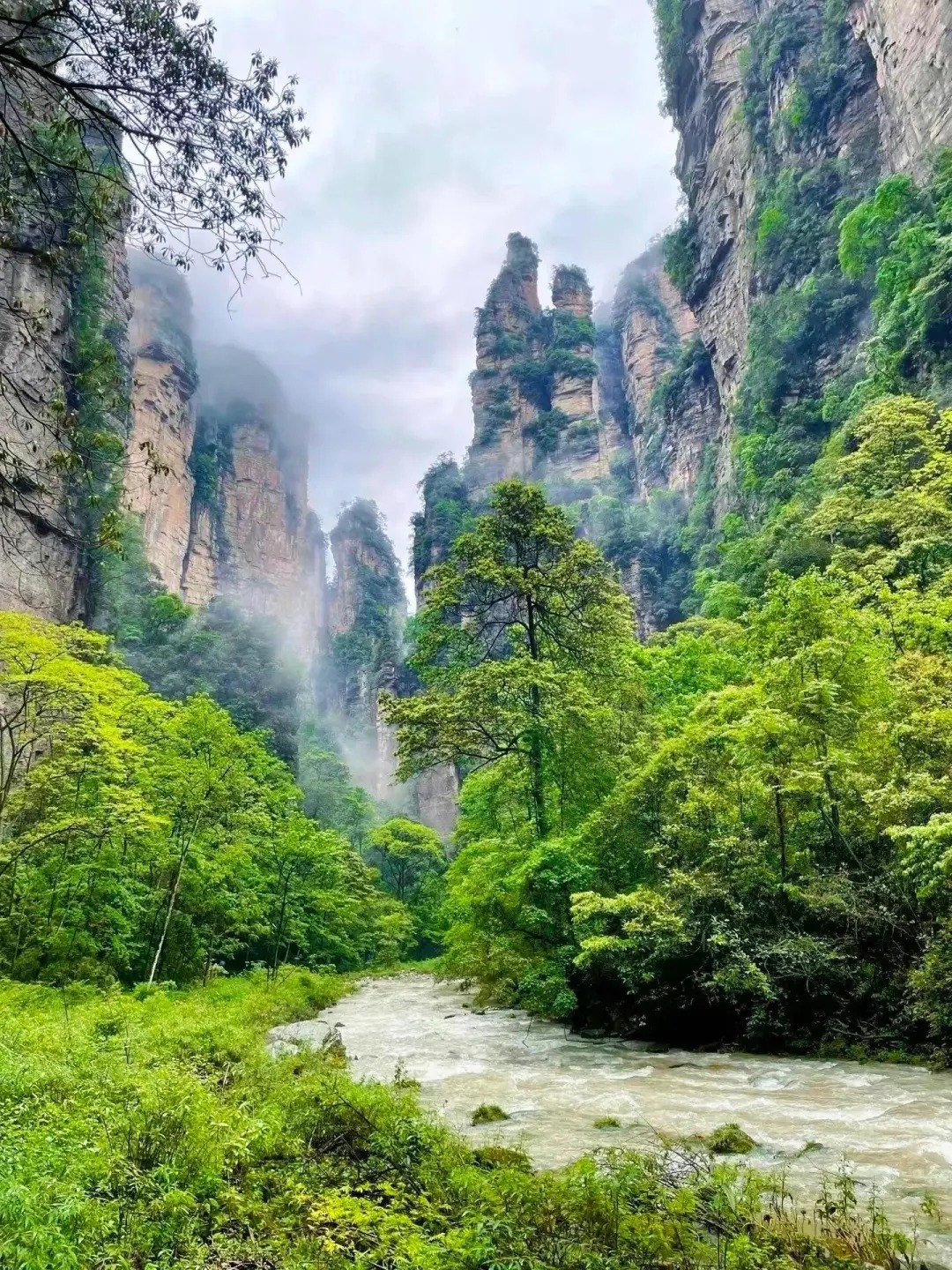 张家界国家森林公园 袁家界 乾坤柱一日游（打卡阿凡达悬浮山取景地）