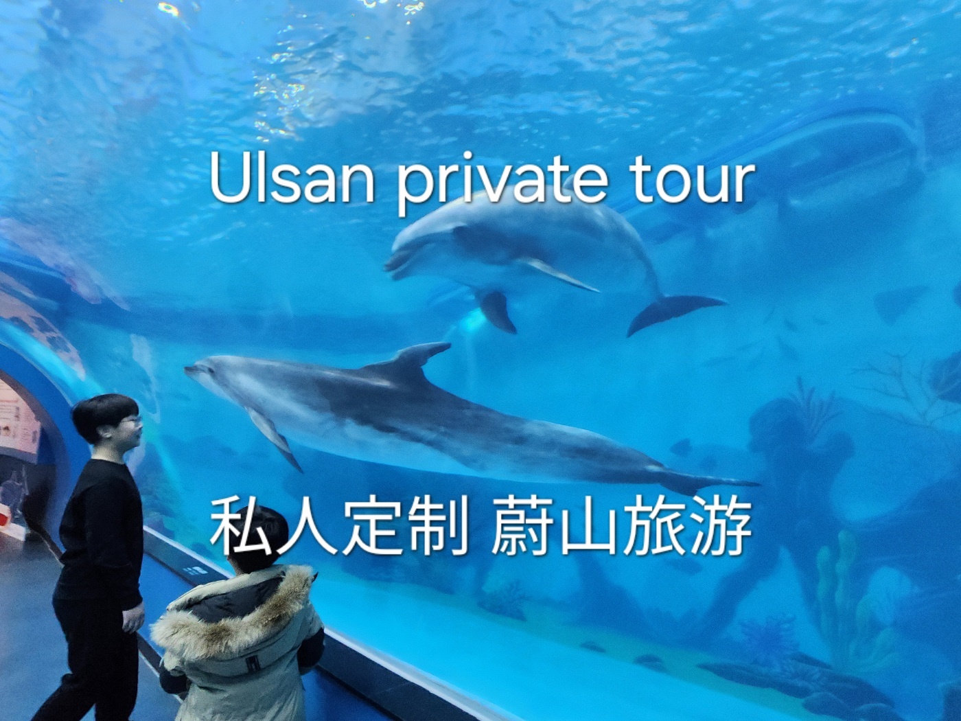 从釜山出发，蔚山私人游