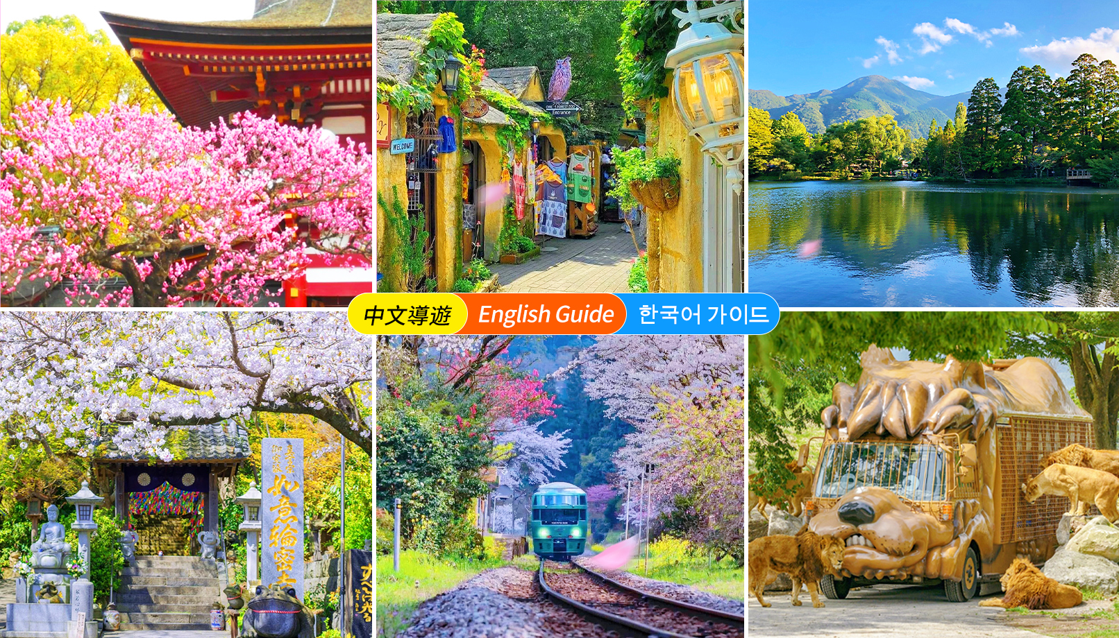 九州大分｜由布院·海/灶地狱九州自然动物公园·太宰府天满宫·如意轮寺·由布之森列车体验（可选去程/回程）｜福冈往返