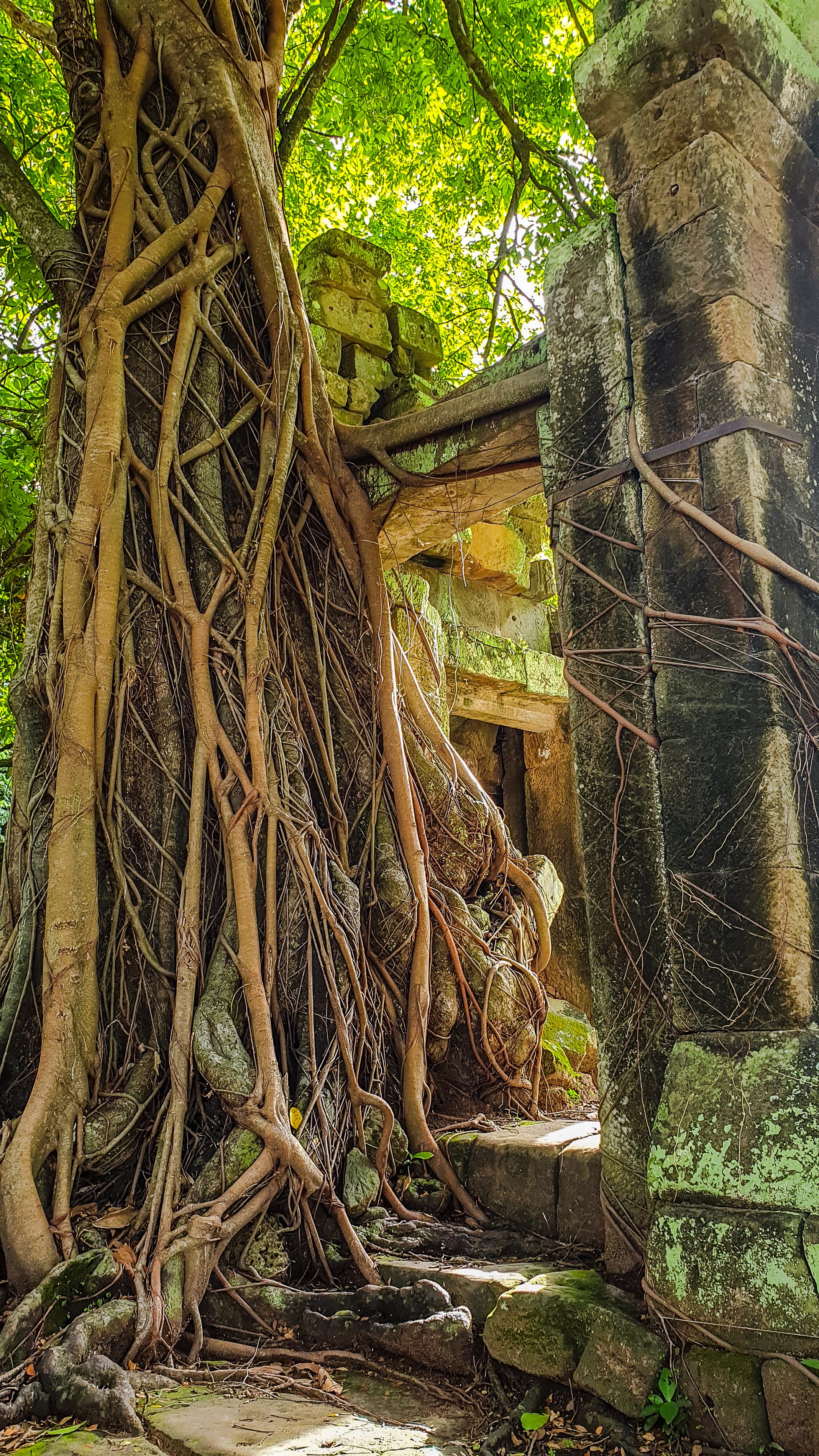 探索秘境 – 吴哥窟隐藏瑰宝摄影之旅