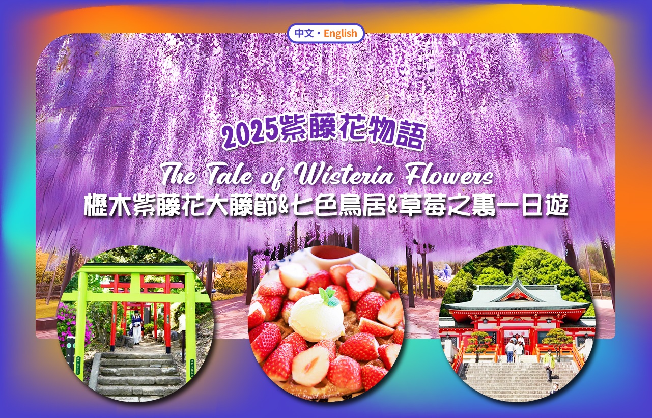 足利花卉公园紫藤花大藤节&足利织姬神社&七色鸟居&草莓之里一日游（东京出发）