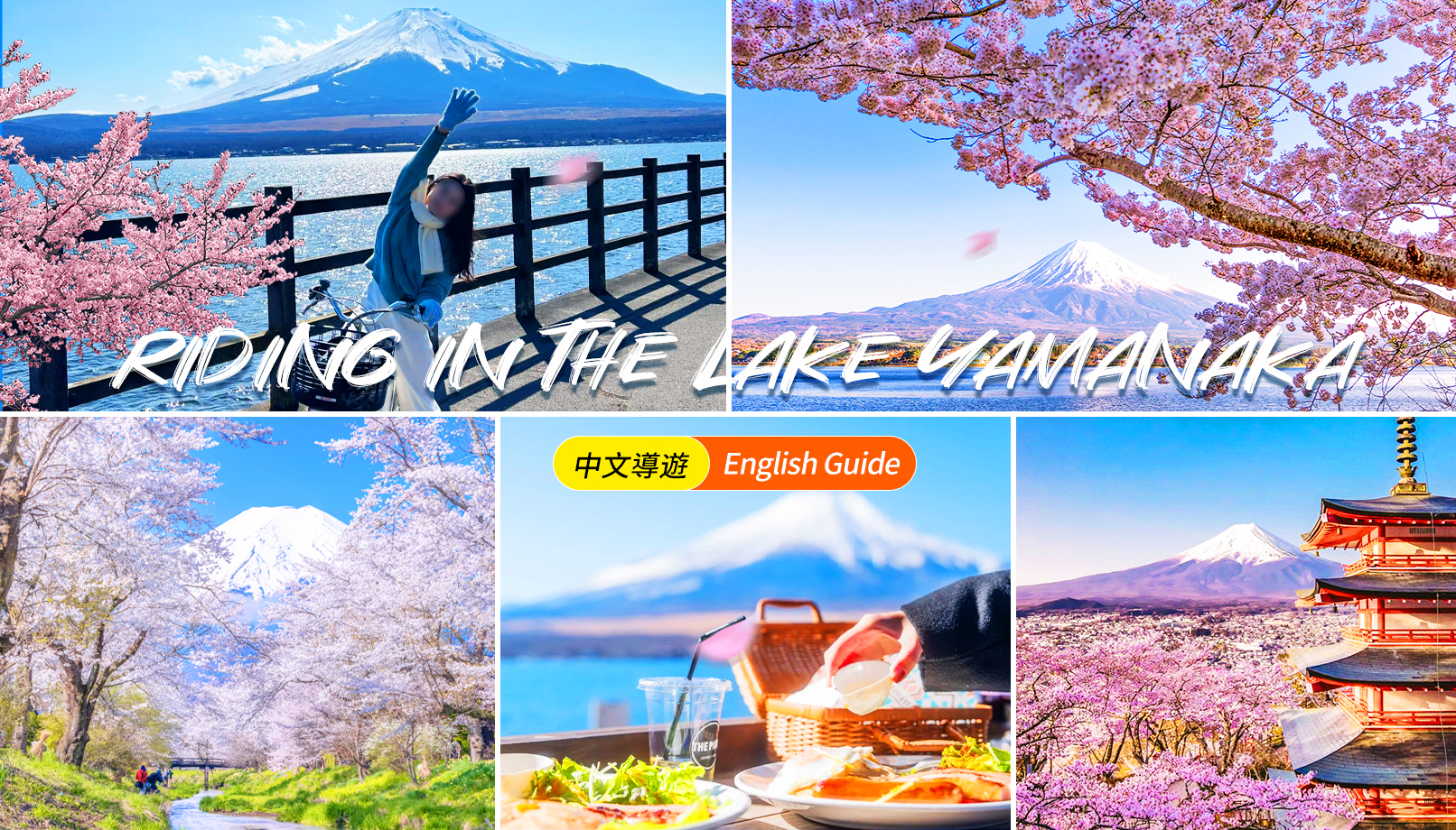 富士山山中湖单车骑行/游船·忍野八海·河口湖大石公园/枫叶回廊·新仓山浅间公园/天梯小镇一日游｜东京出发｜4~9人精品小团