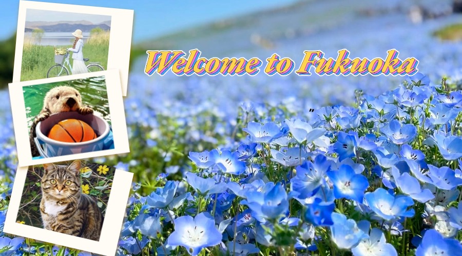 九州福冈｜海之中道海滨公园&相岛猫岛&宫地岳神社一日游