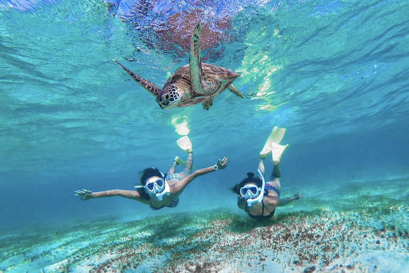 冲绳：宫古岛与野生海龟浮潜