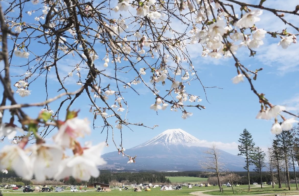 富士山 朝雾高原Fumotoppara (ふもとっぱら)露营场 2天1夜 露营体验