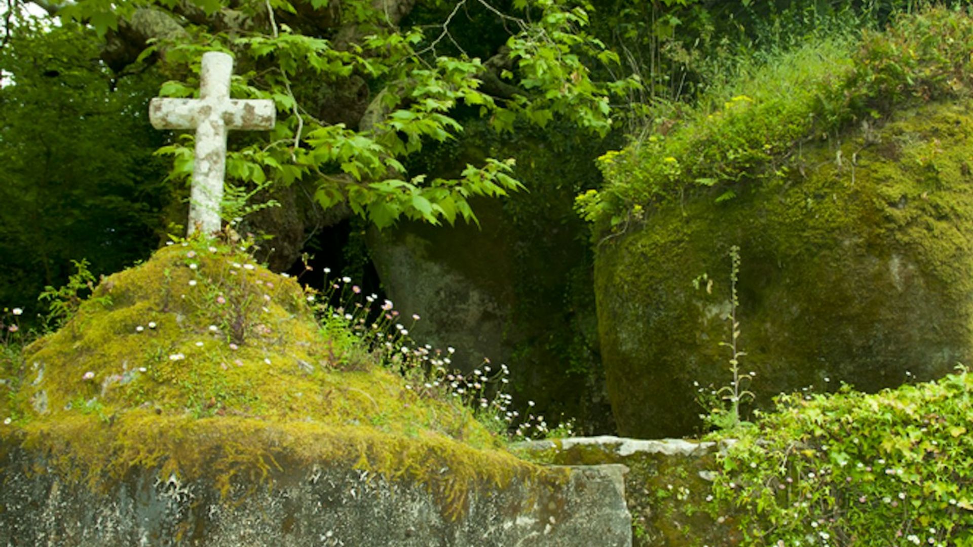 科拉雷斯卡普乔斯修道院门票