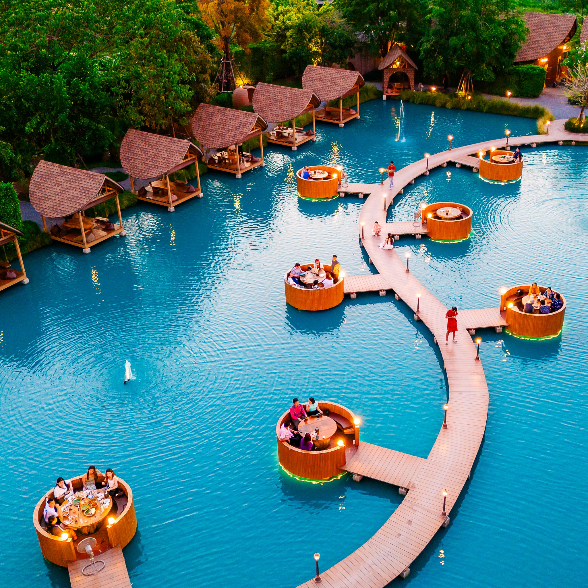 森林中的泡泡咖啡馆