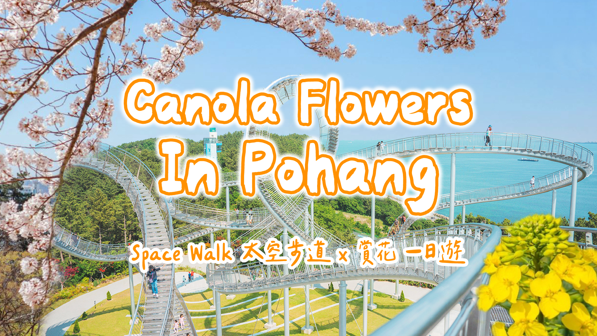 浦项Space Walk x 樱花、九龙浦、虎尾岬油菜花