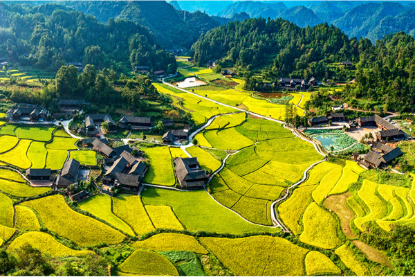 张家界 石堰坪 土家风情园 私人导览一日游 