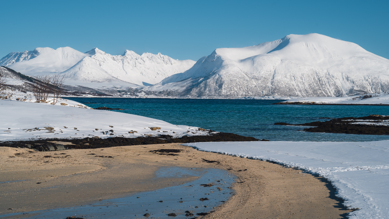 特罗姆瑟峡湾游船之旅