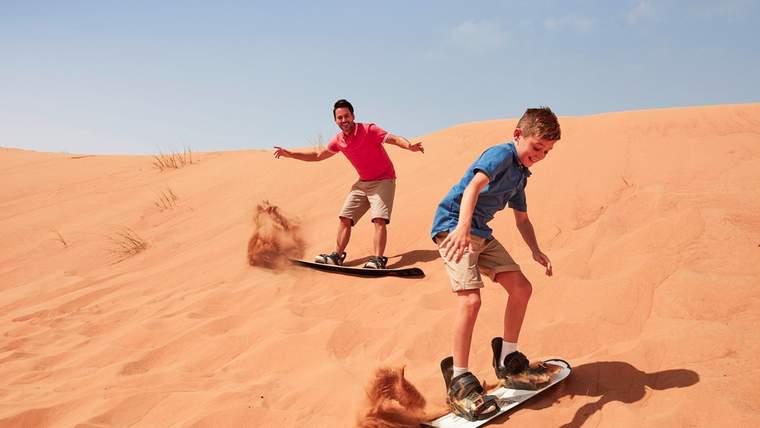 清晨野生动物园之旅
