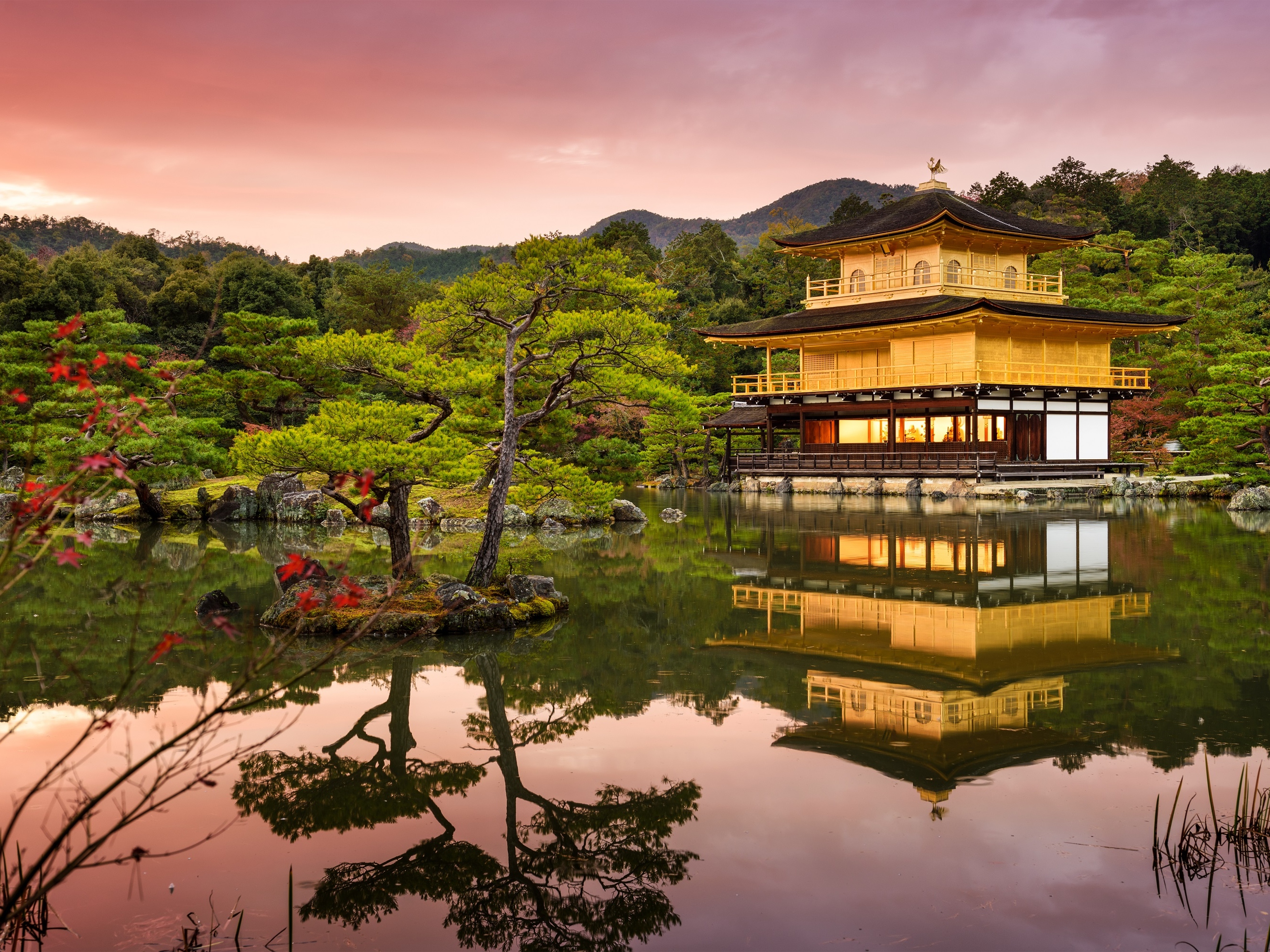 京都精选：世界遗产半日游