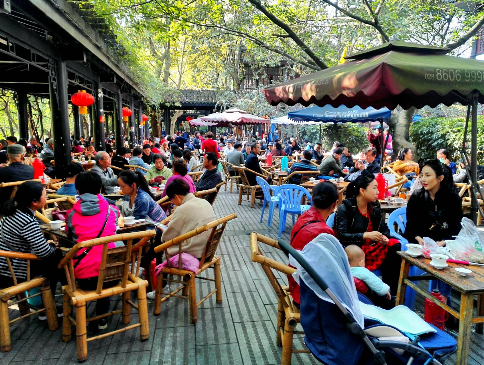 成都私家团半日游：当地茶馆 私人麻将课程