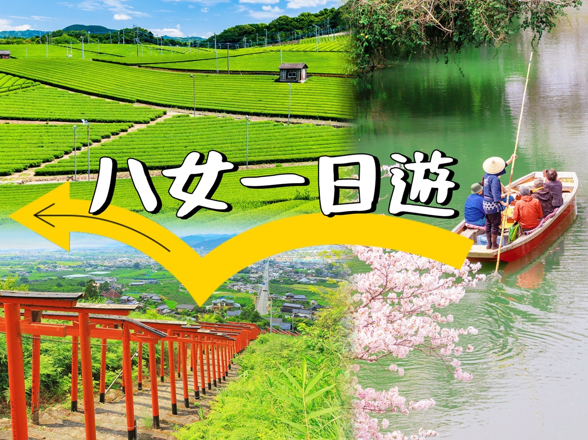 福冈八女一日游: 中山紫藤园、柳川游船、黑木紫藤园、八女中央大茶园展望台 (博多出发)