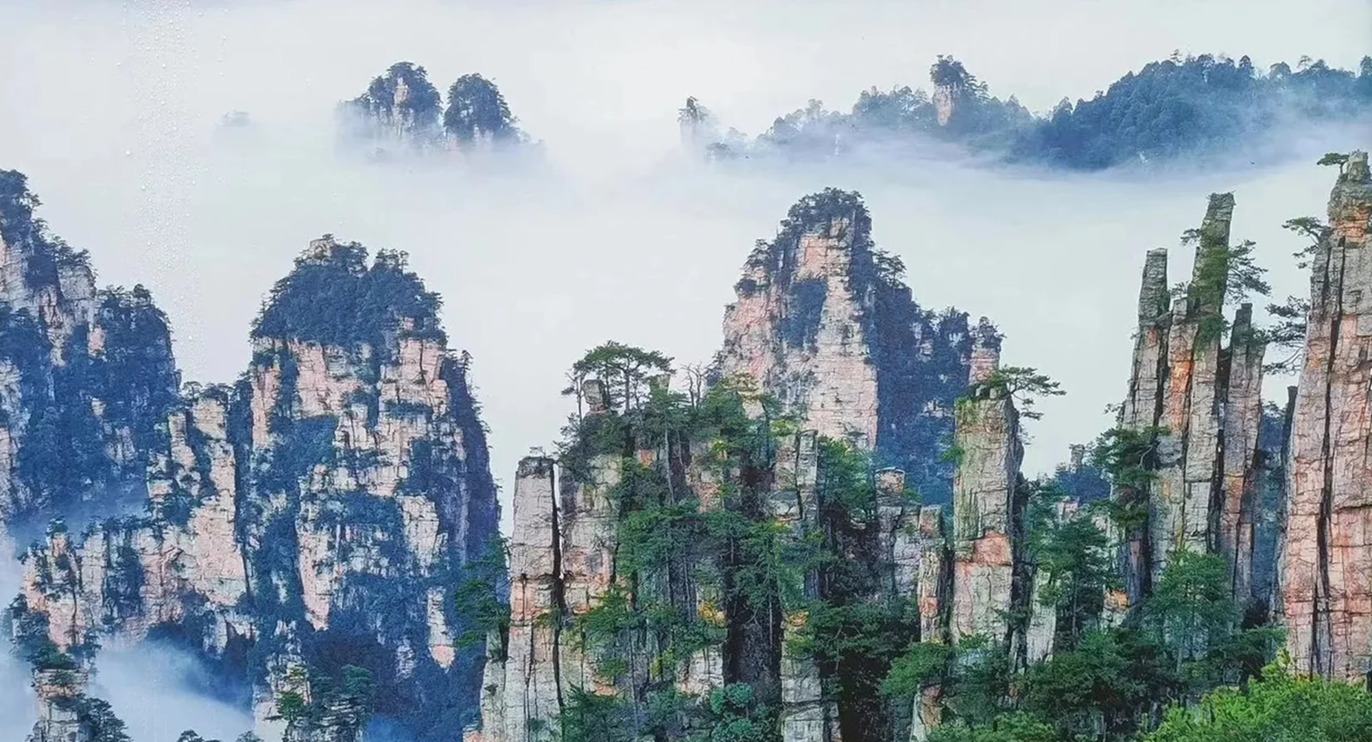 张家界尊享4日游（精品四钻酒店+VIP通道+8人小团+森林公园+天子山+袁家界+阿凡达同款+百米天梯+玻璃桥+天门山打卡+魅力湘西表演）