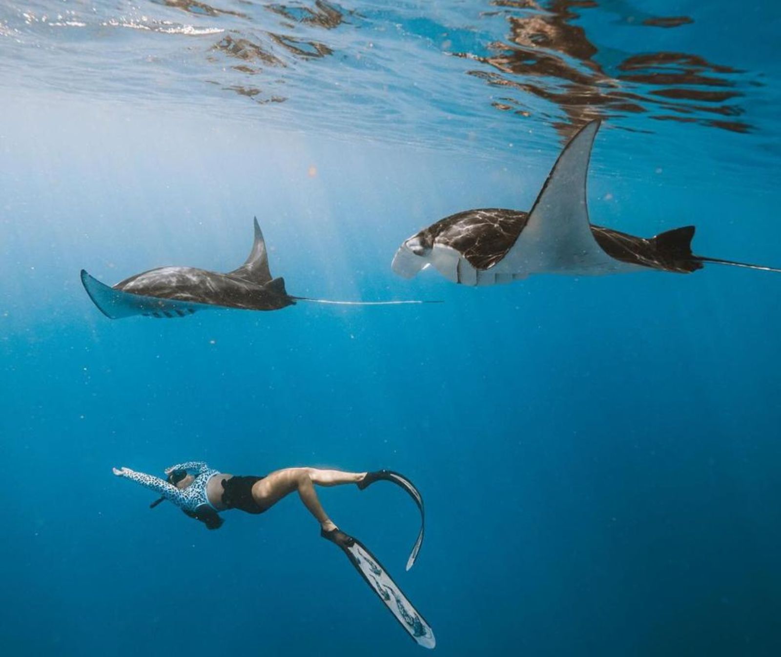 蝠鲼点浮潜和佩尼达岛西部之旅 