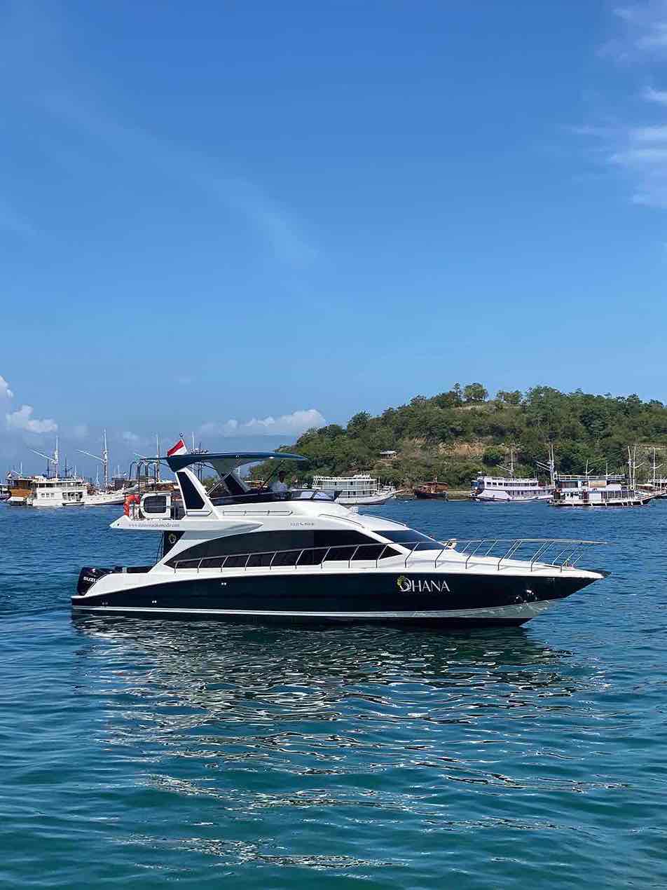 科莫多岛快艇一日游（Look Indonesia Adventure 提供）