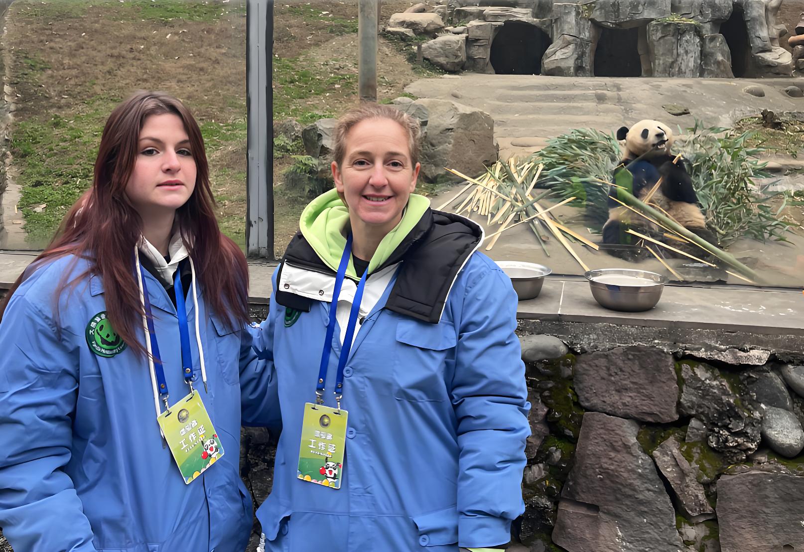 成都出发都江堰中华大熊猫苑 基地志愿者 私人团一日游