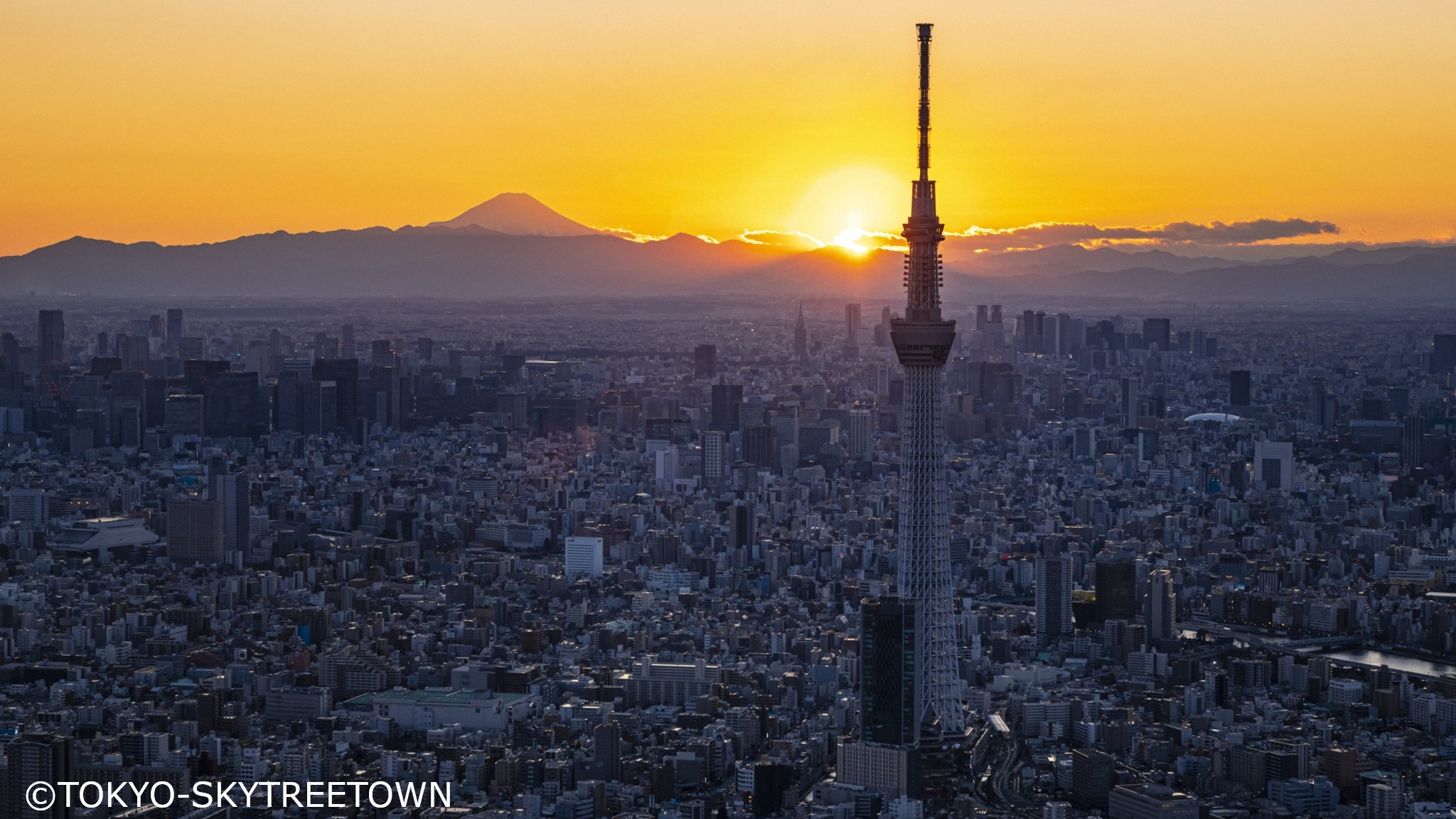 东京全景一日游：明治神宫、浅草 (Asakusa)、台场 (Odaiba) 和东京晴空塔® (SKYTREE®)