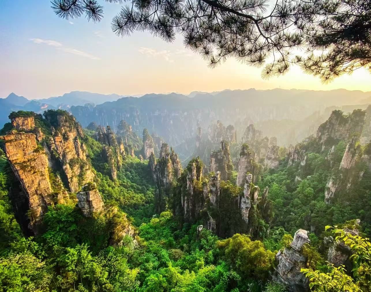 湖南张家界天门山国家森林公园深度1日游（天门山洞+世界最长索道+网红玻璃桥+悬崖栈道+自然景观+云端之旅）