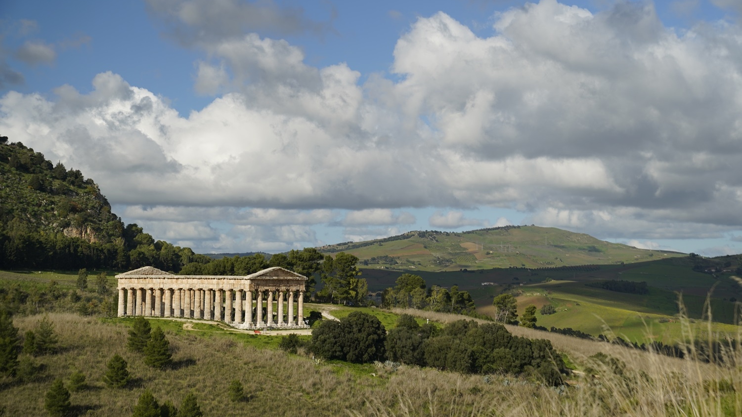 西西里塞杰斯塔遗址门票