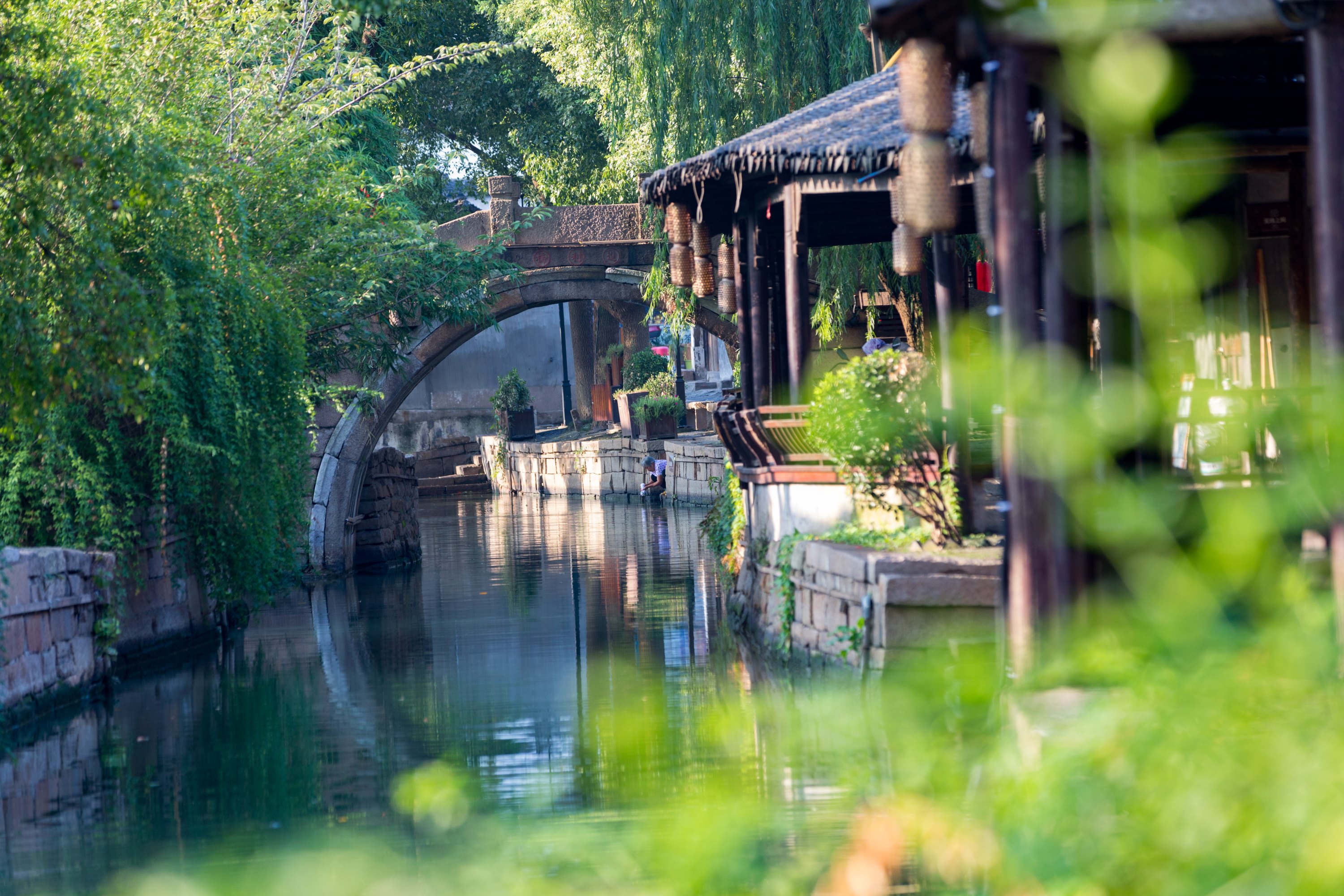 甪直古镇&巴城生态湿地公园 包车一日游