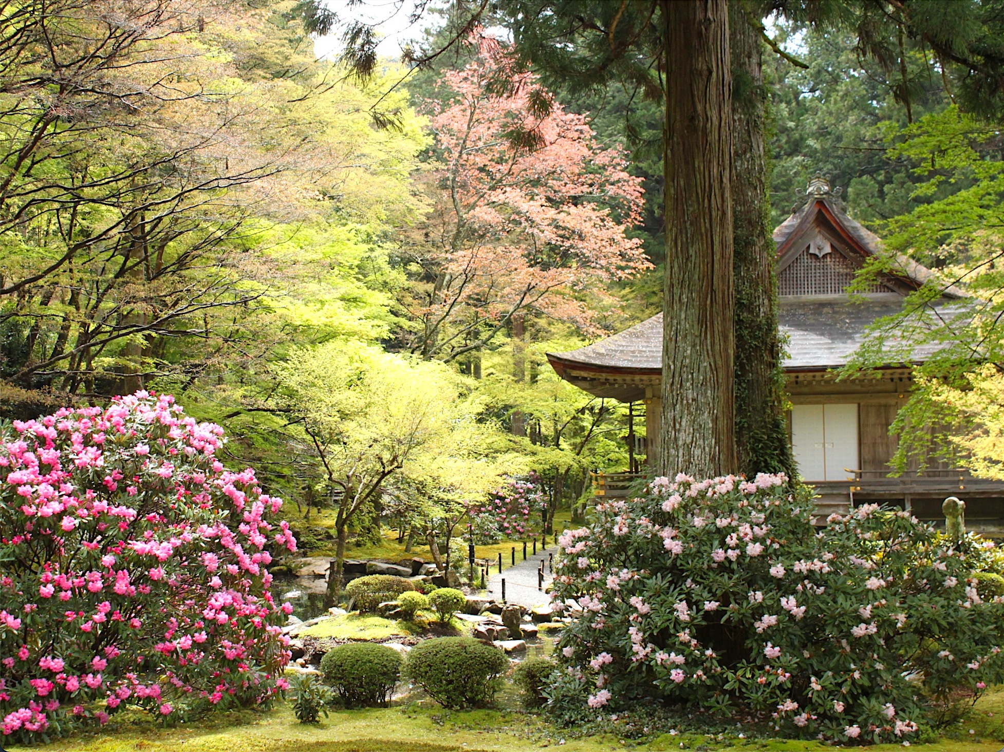 京都乡村：在奥原享受宁静祥和的一日游