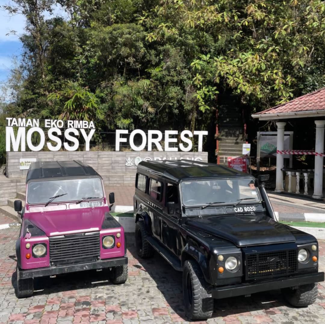 探险家的梦想目的地