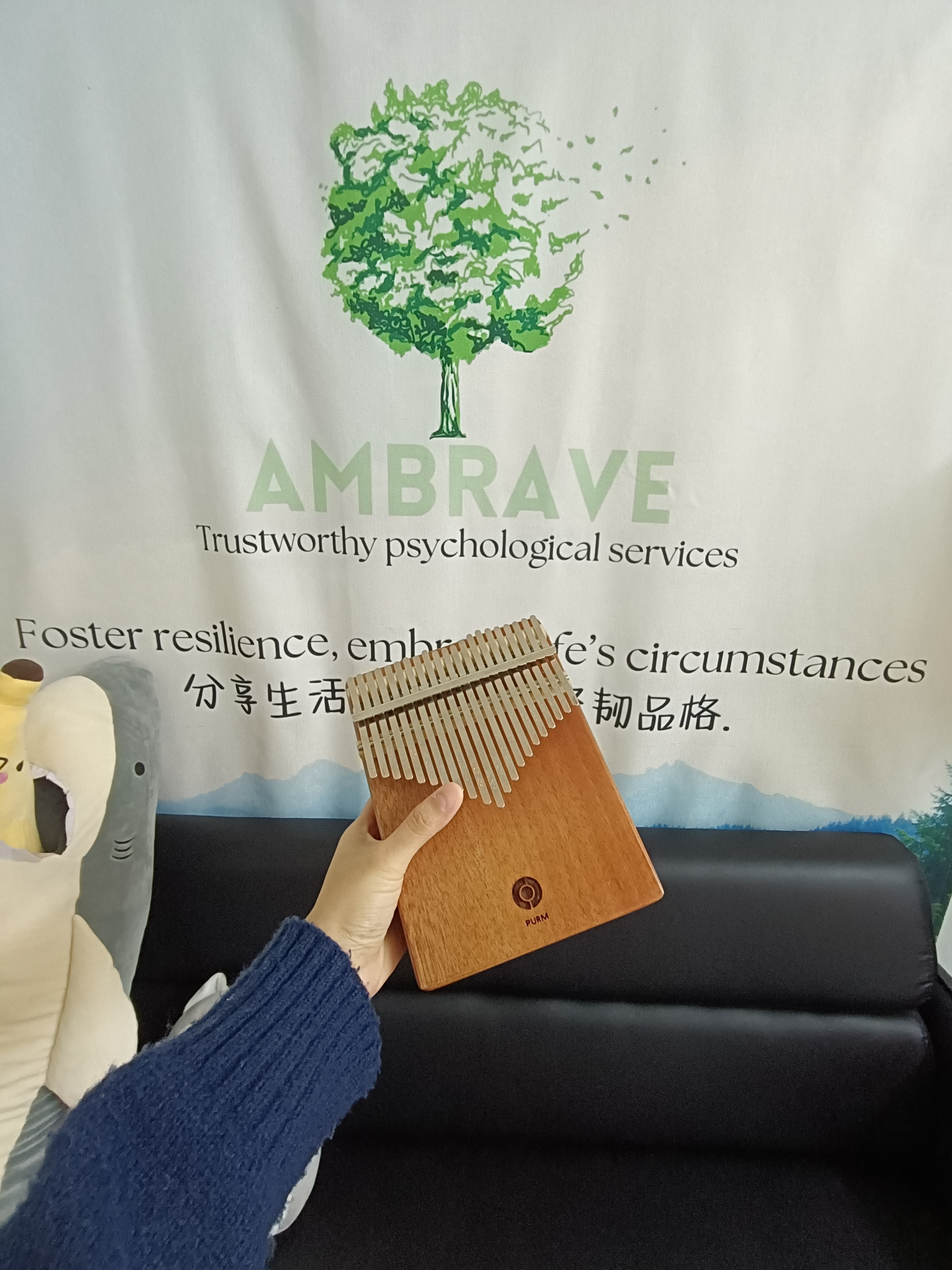 心灵卡林巴：与心理健康专家一起的探索之旅