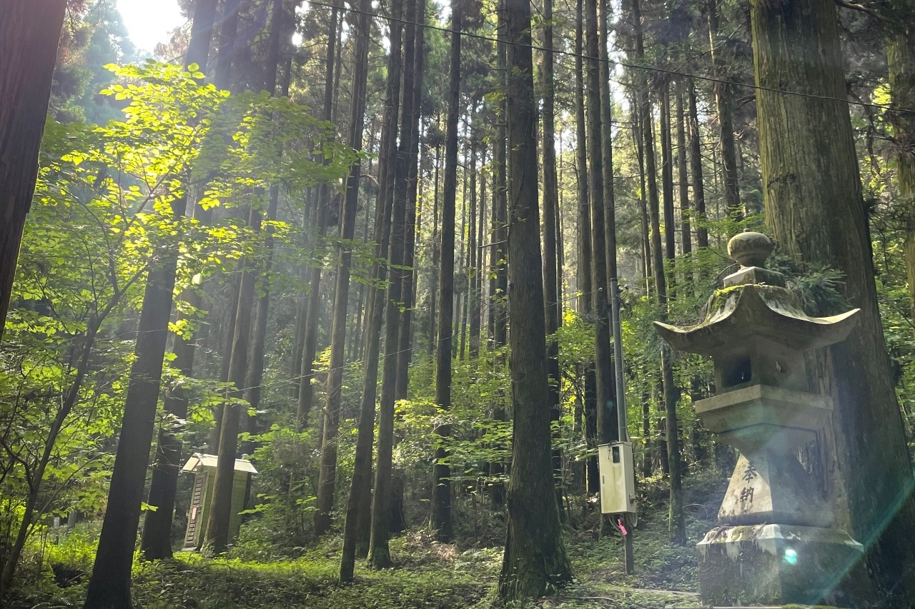 阿苏神社＆中岳火山口＆上色见熊野座神社一日游