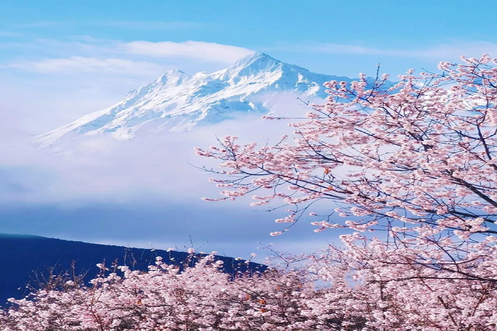 西藏林芝桃花高奢6日（南迦巴瓦日照金山酒店&平措康桑雪里桃花度假庄园+五星&悦皇冠度假+波密桃花谷+嘎拉桃花村+索松村+来古冰川）
