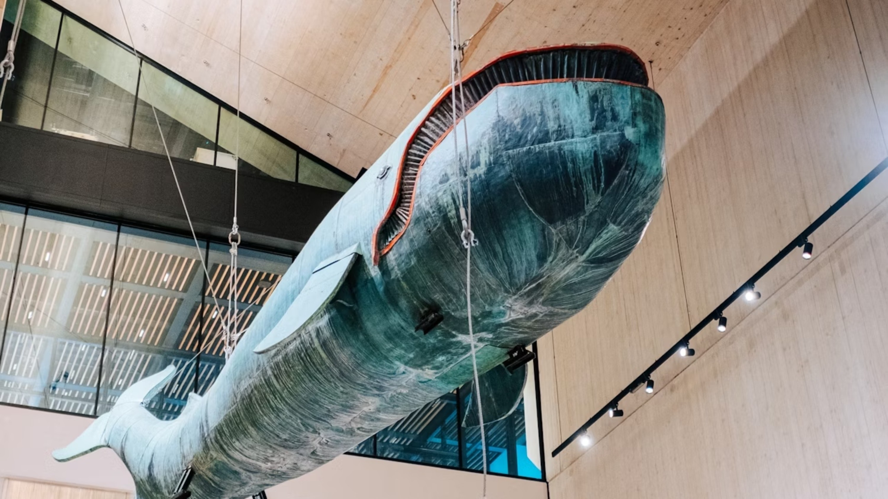 维也纳 (Vienna) 历史徒步之旅