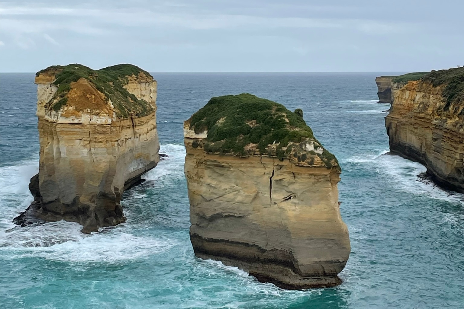 大洋路2日健康与野生动物体验