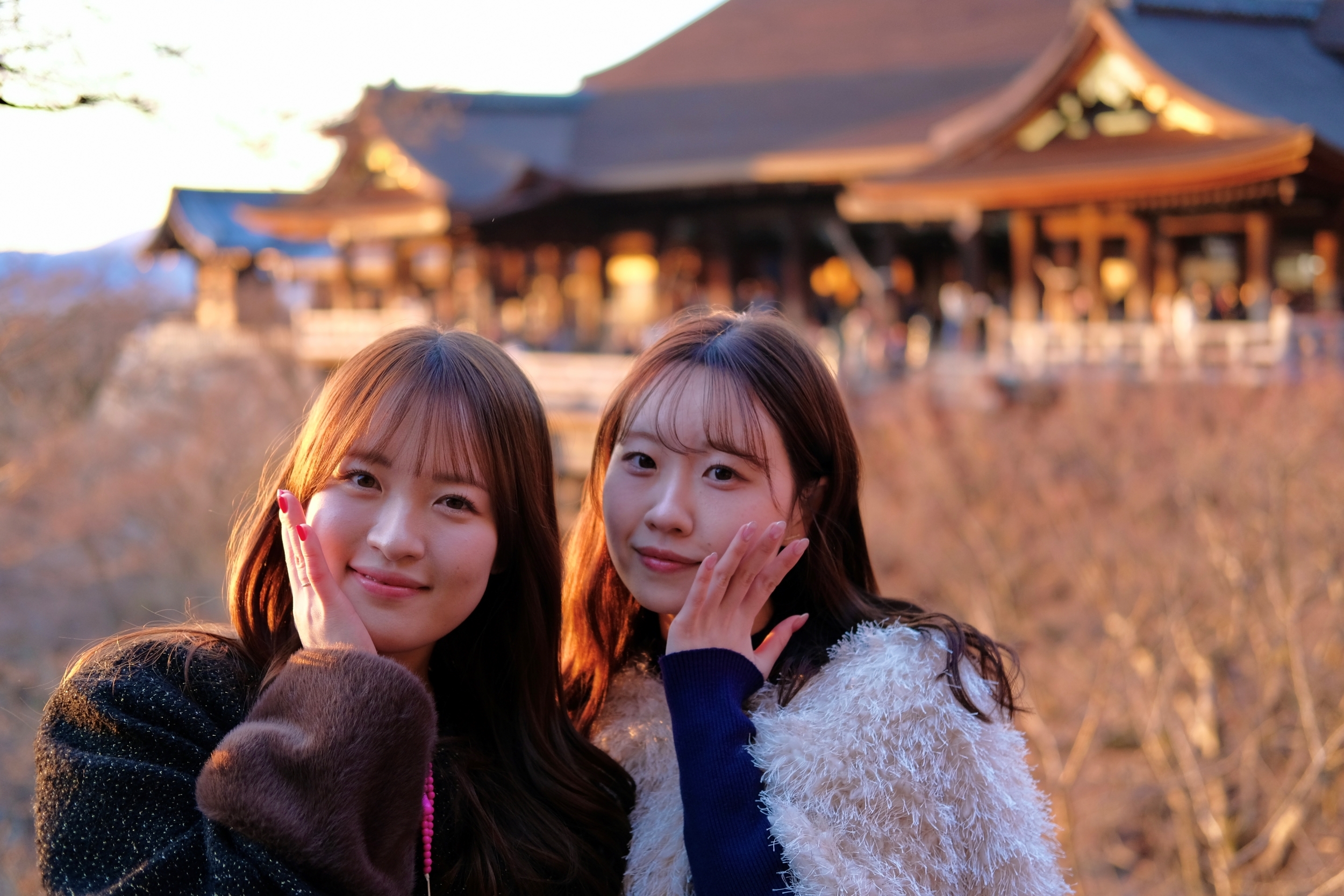 京都摄影之旅（八坂神社、八坂庚申堂、八坂塔、清水寺）