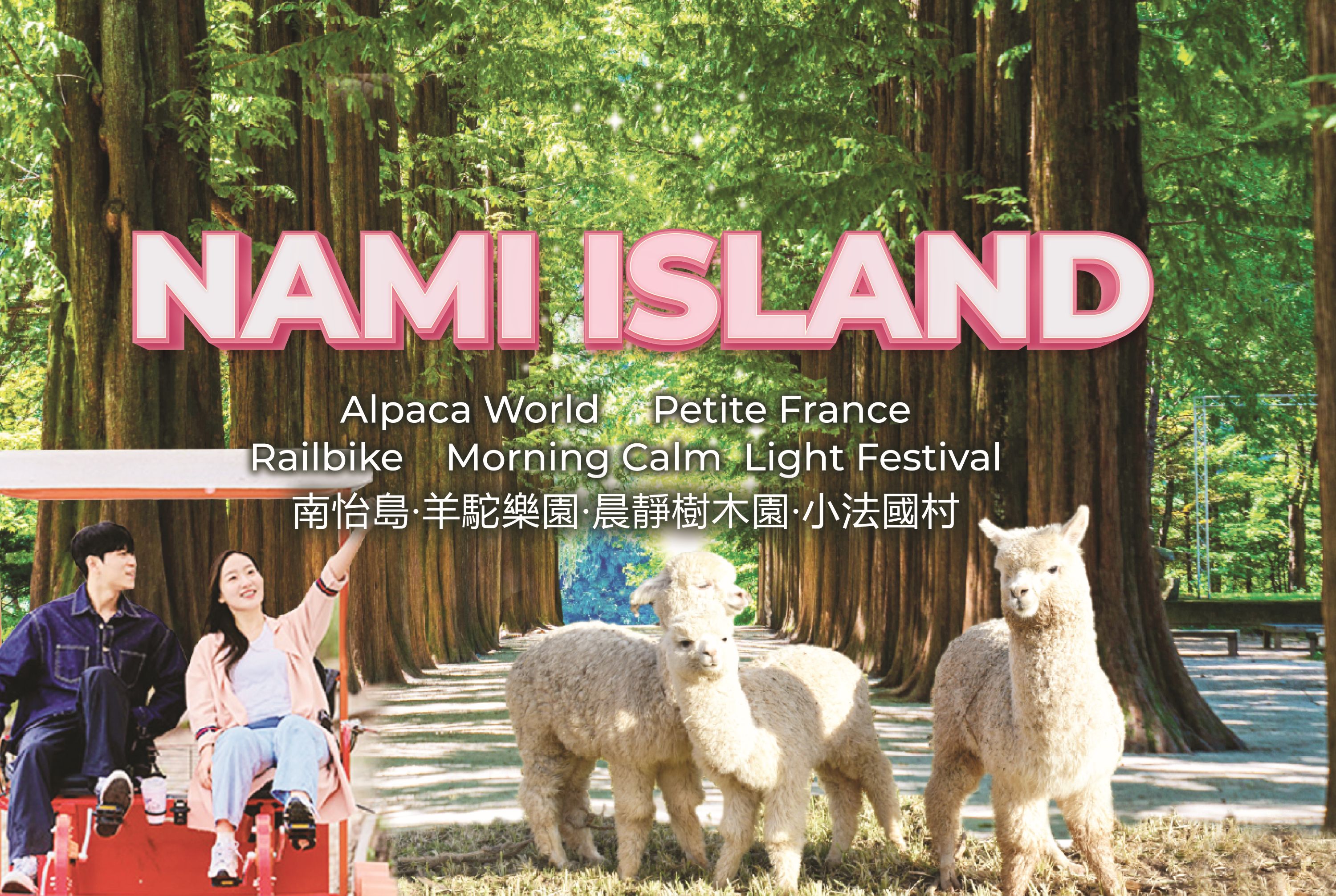 南怡岛 (Nami Island) & 伊甸园冰雪世界 (Eobi Ice Valley) & 全景场 (Panorama Field) &  晨静树木园 (Morning Calm) 旅游