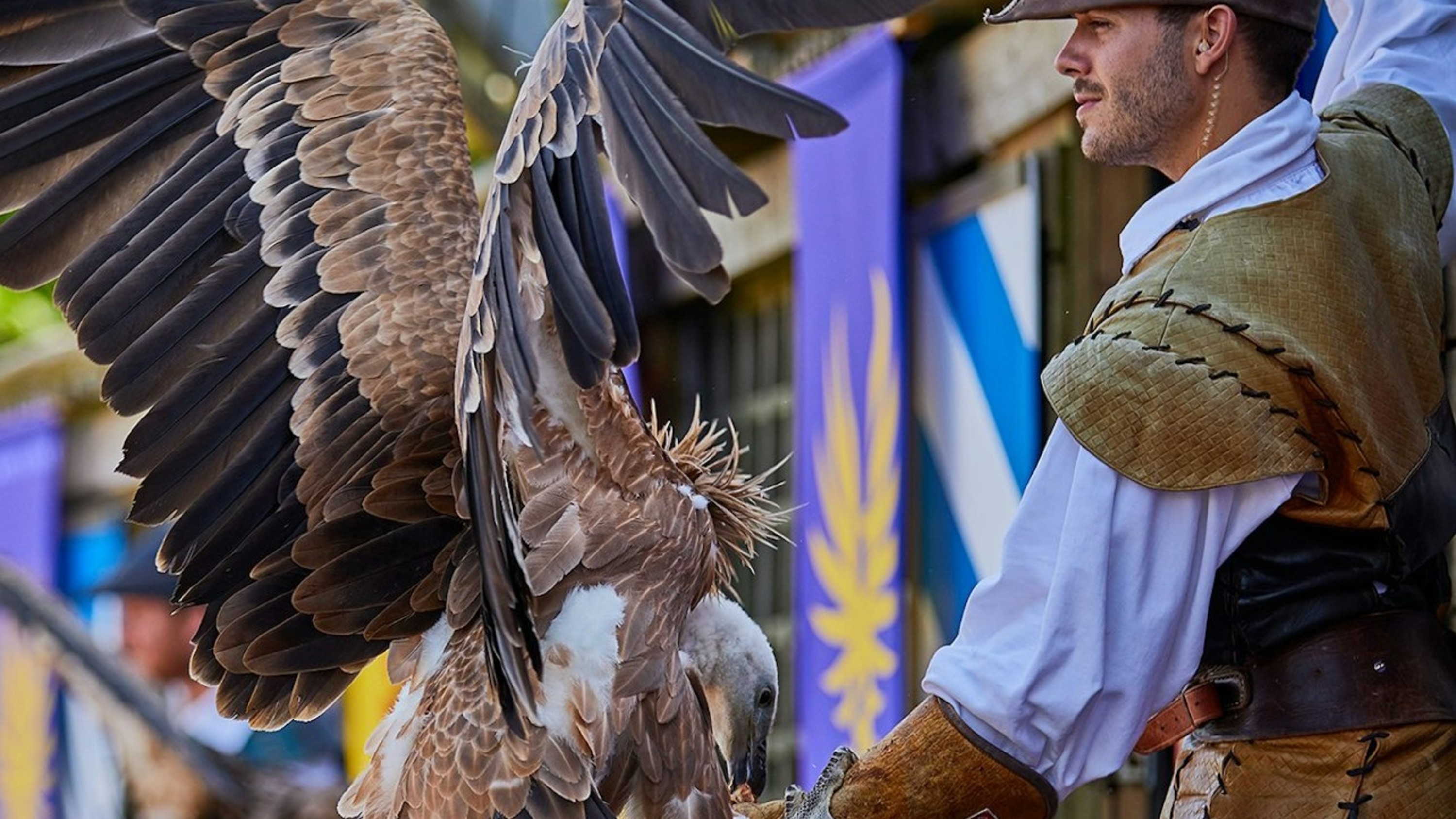 乐佩斯普度富主题乐园门票