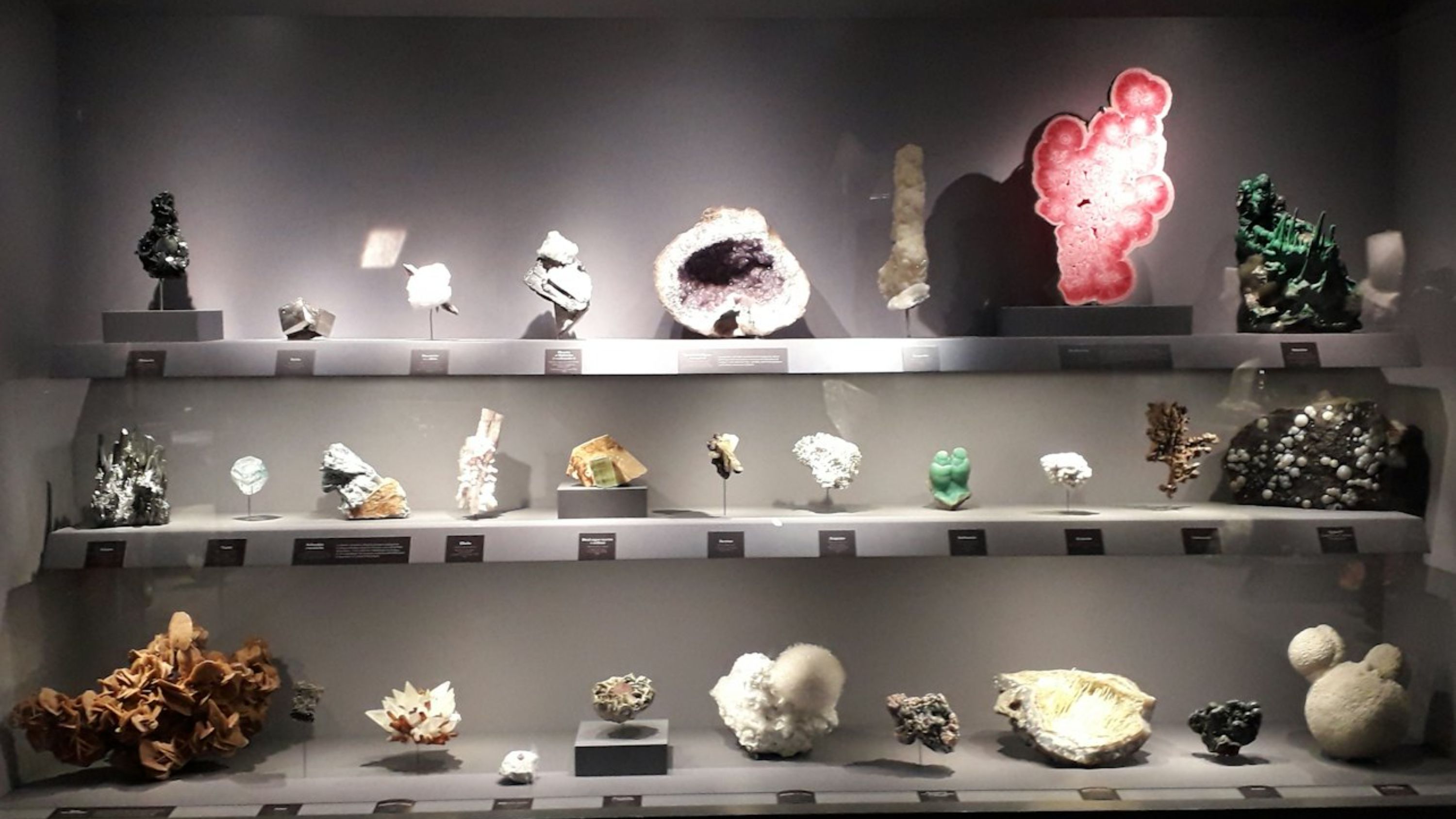 巴黎矿物与地质学博物馆门票