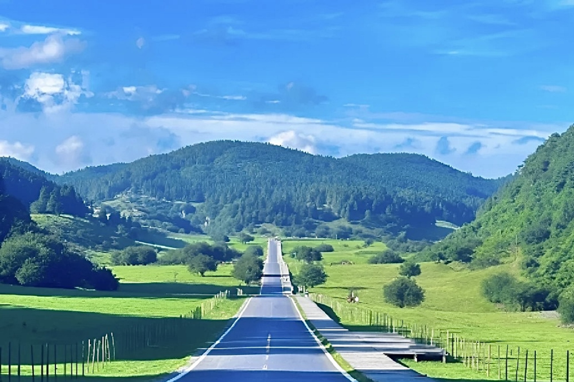 重庆武隆深度3日游2-8人团（武隆天生三桥+仙女山森林公园+乌江古镇+洪崖洞+重庆夜景必打卡地点+星级酒店）