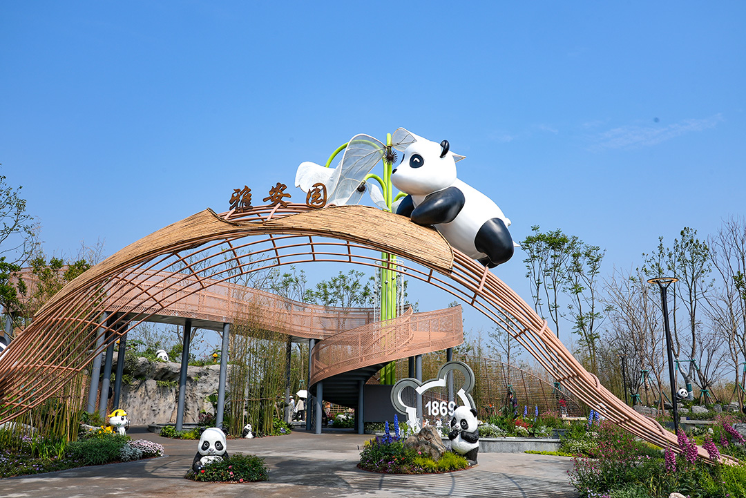 成都出发都雅安碧峰峡熊猫基地 志愿者体验 私家团一日游