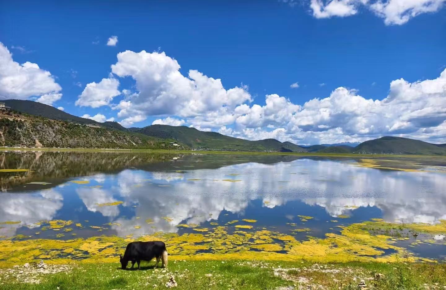 云南香格里拉高端两日游（虎跳峡+普达措国家森林公园+赠送藏族歌舞宴+依拉草原+体验特色藏族文化+丽江往返）