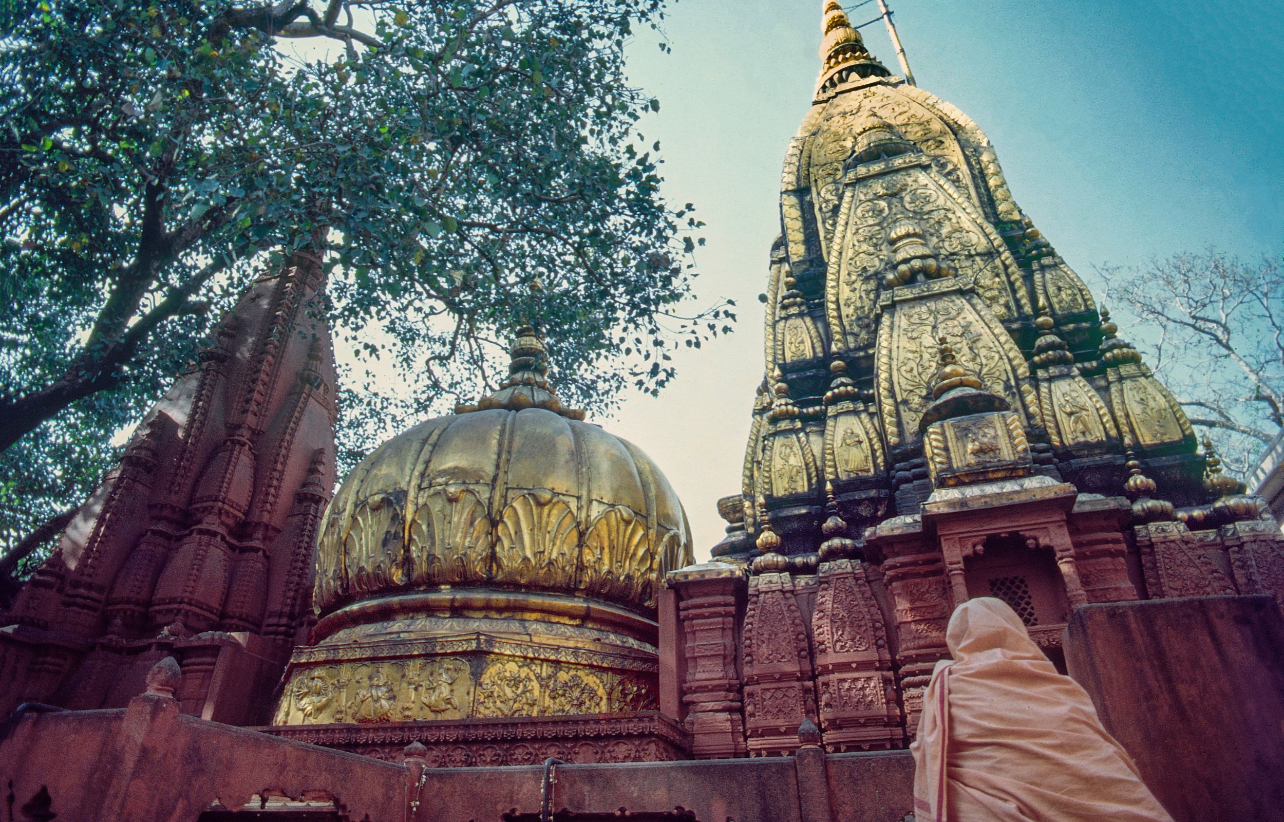 瓦拉纳西：寺庙、市集和恒河夜祭导览游