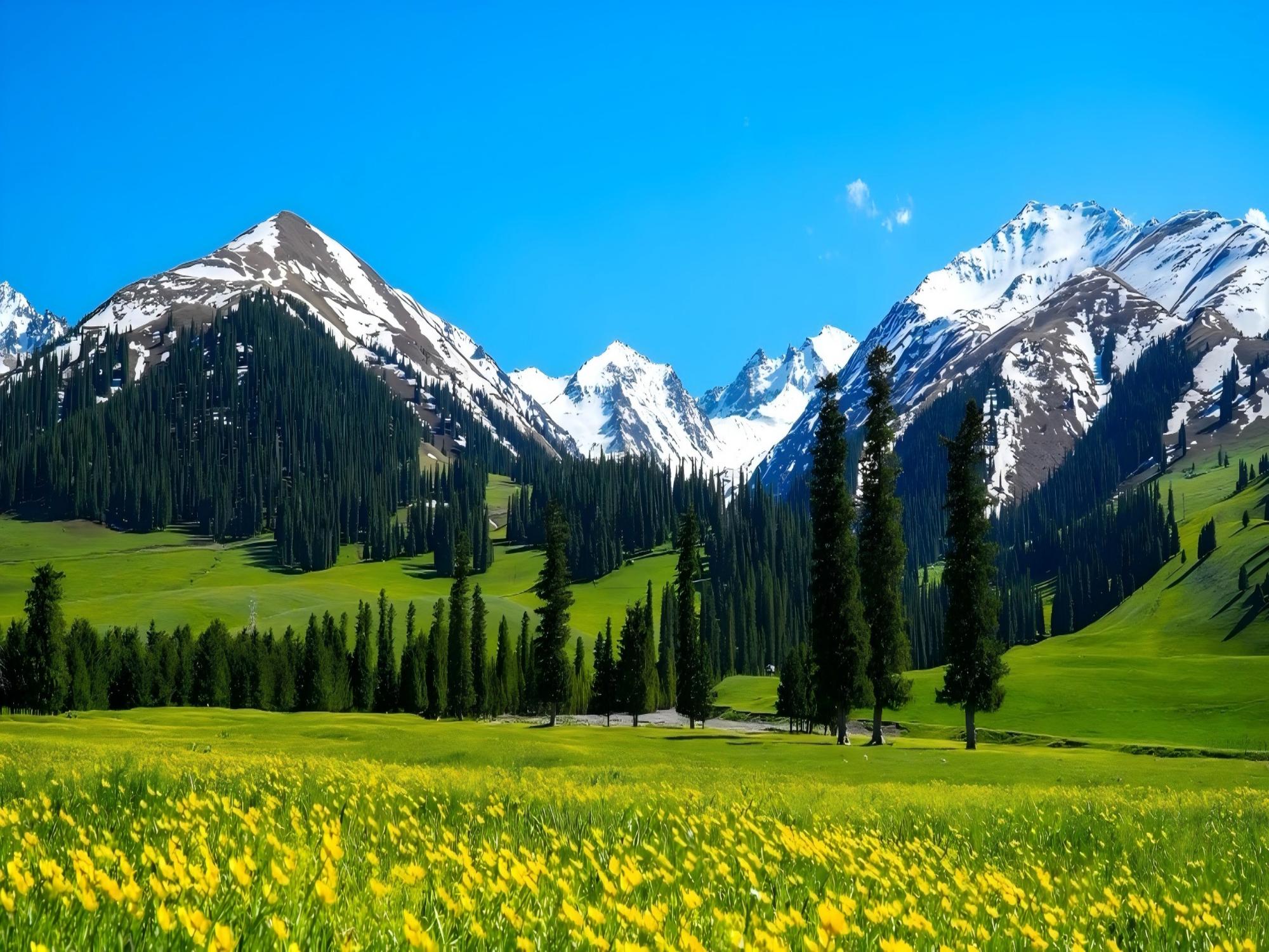 新疆野奢北疆伊宁5日（自驾探索那拉提+赛里木湖环湖游+琼库什台下午茶+夏日限定薰衣草+特克斯八卦城+夏日赠送旅拍）