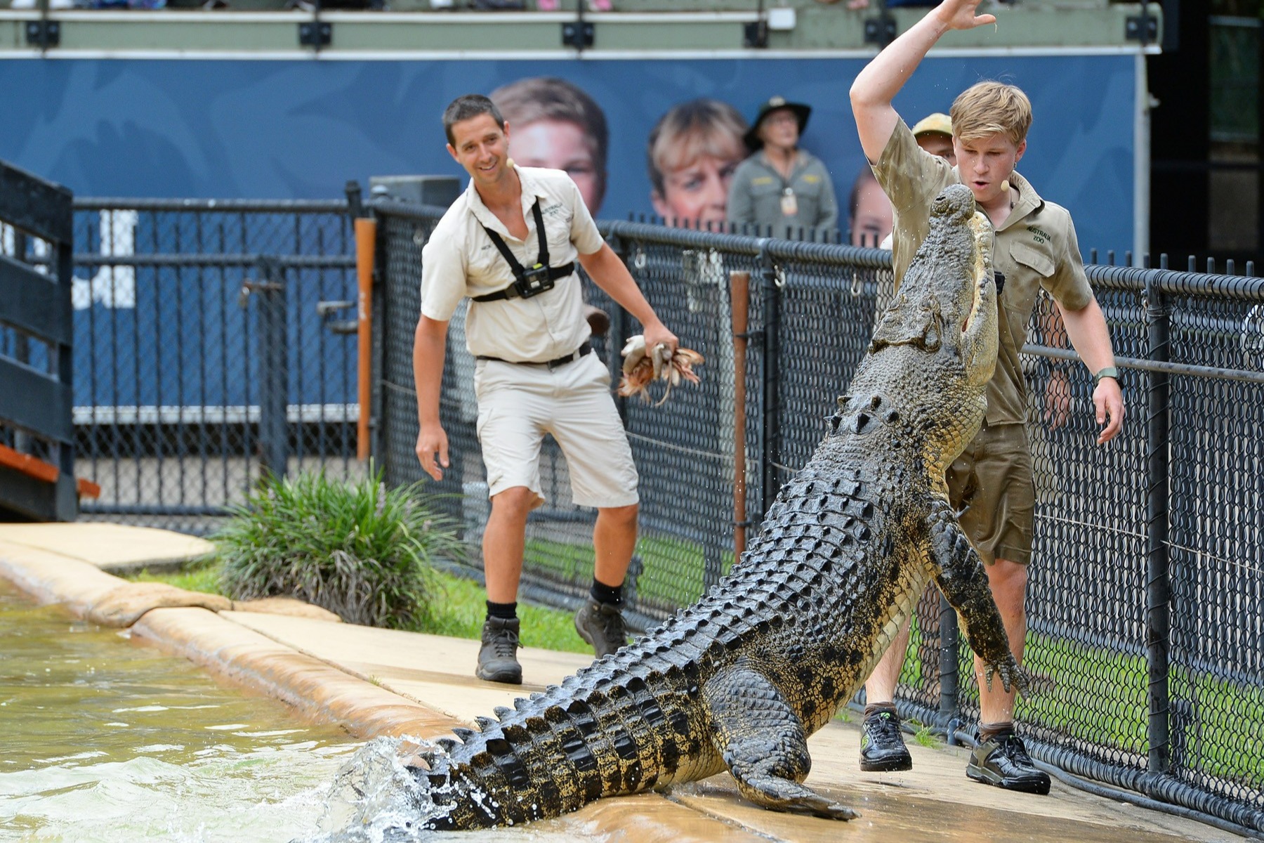 澳洲动物园交通与门票探险之旅