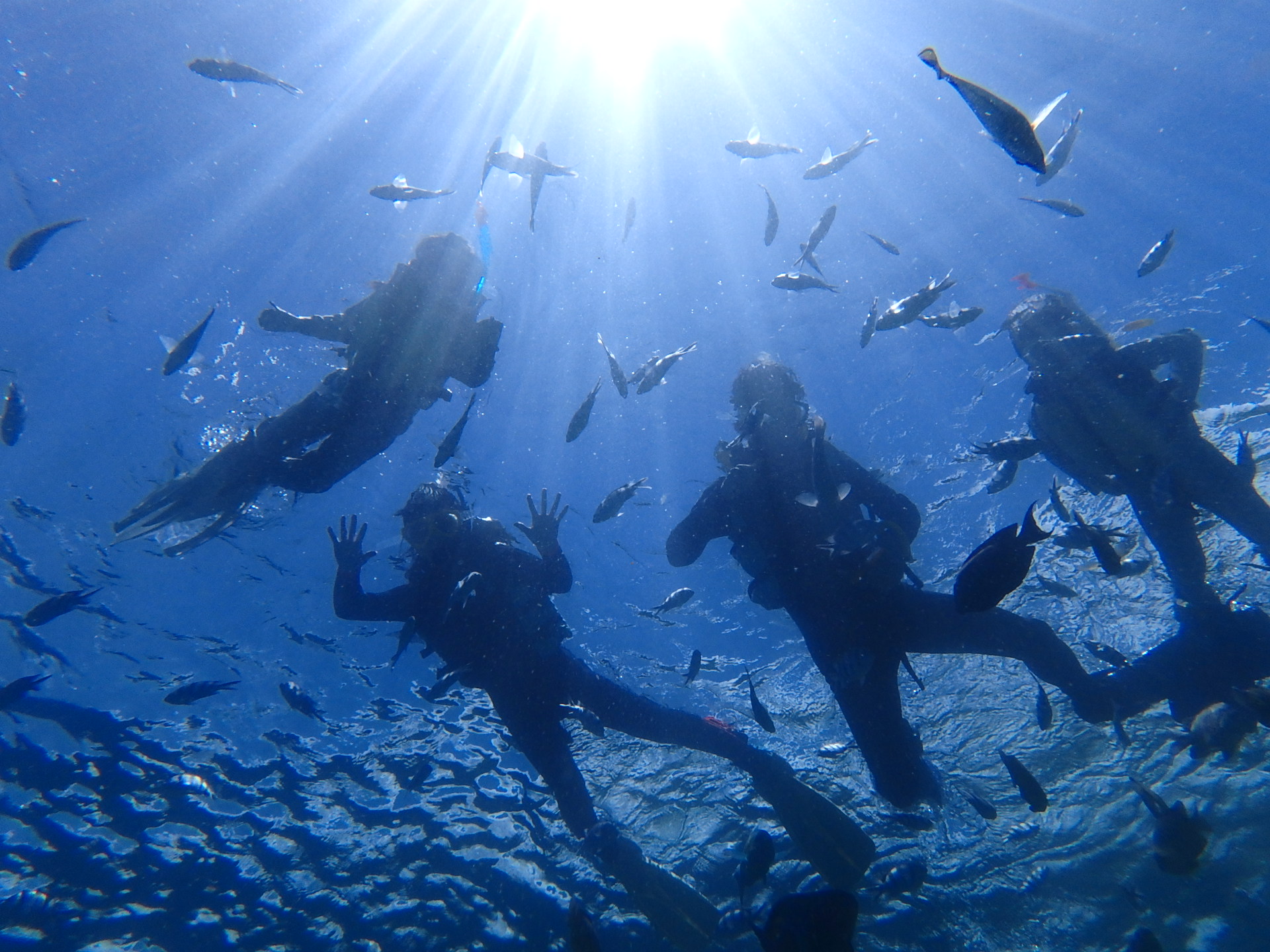 日本冲绳｜青之洞窟浮潜｜中文英文教练！GoPro拍摄＆免费水下喂食