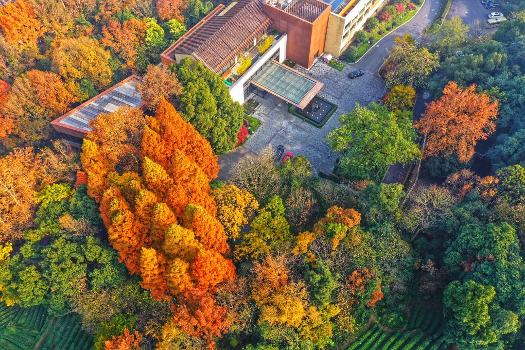 【酒店餐饮优惠】深圳华侨城洲际酒店-自助餐券/门票