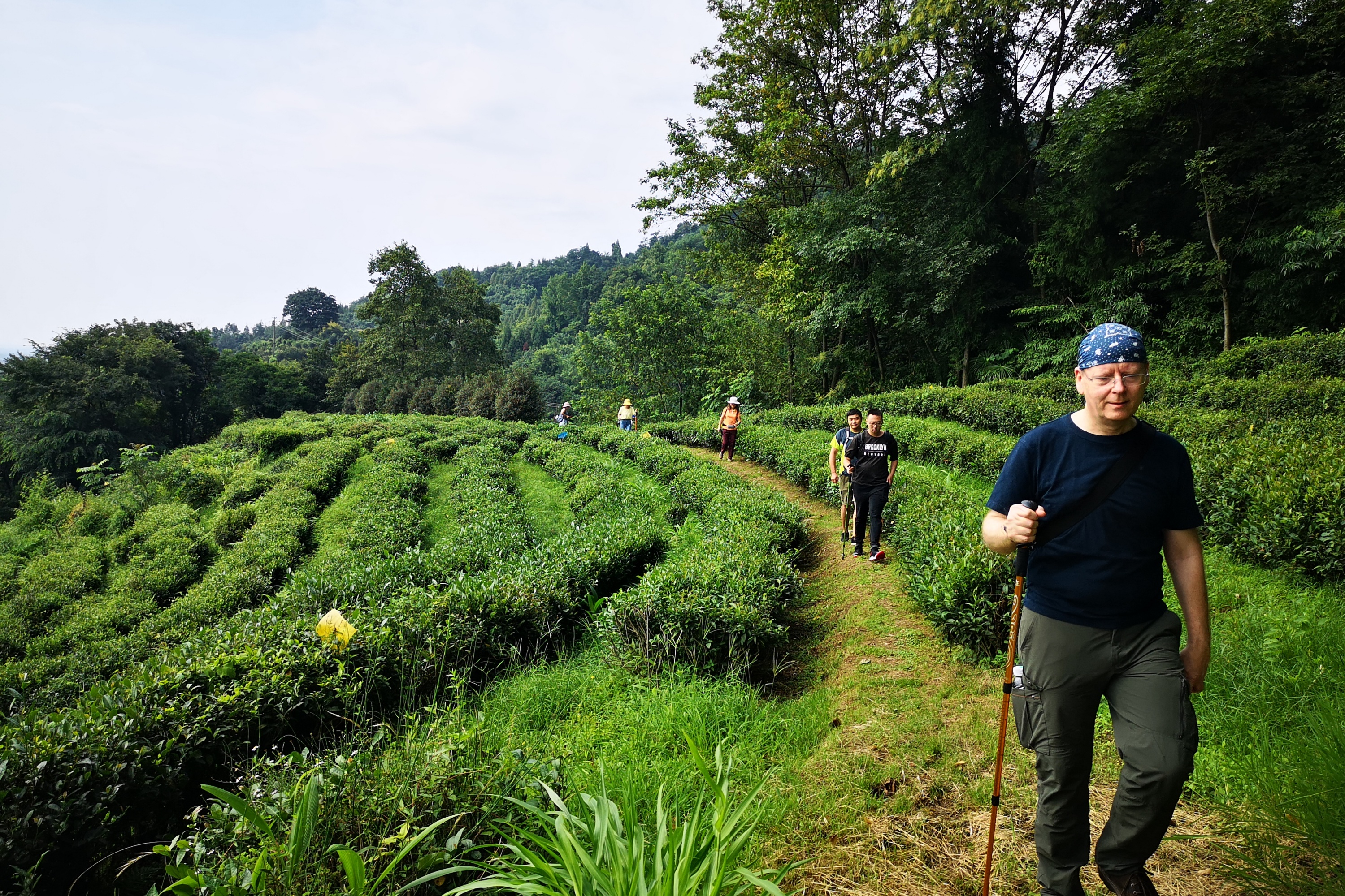 青城外山一日游 『上道山徒步寻幽访古，下山喝茶小城觅美食』- Eatwith