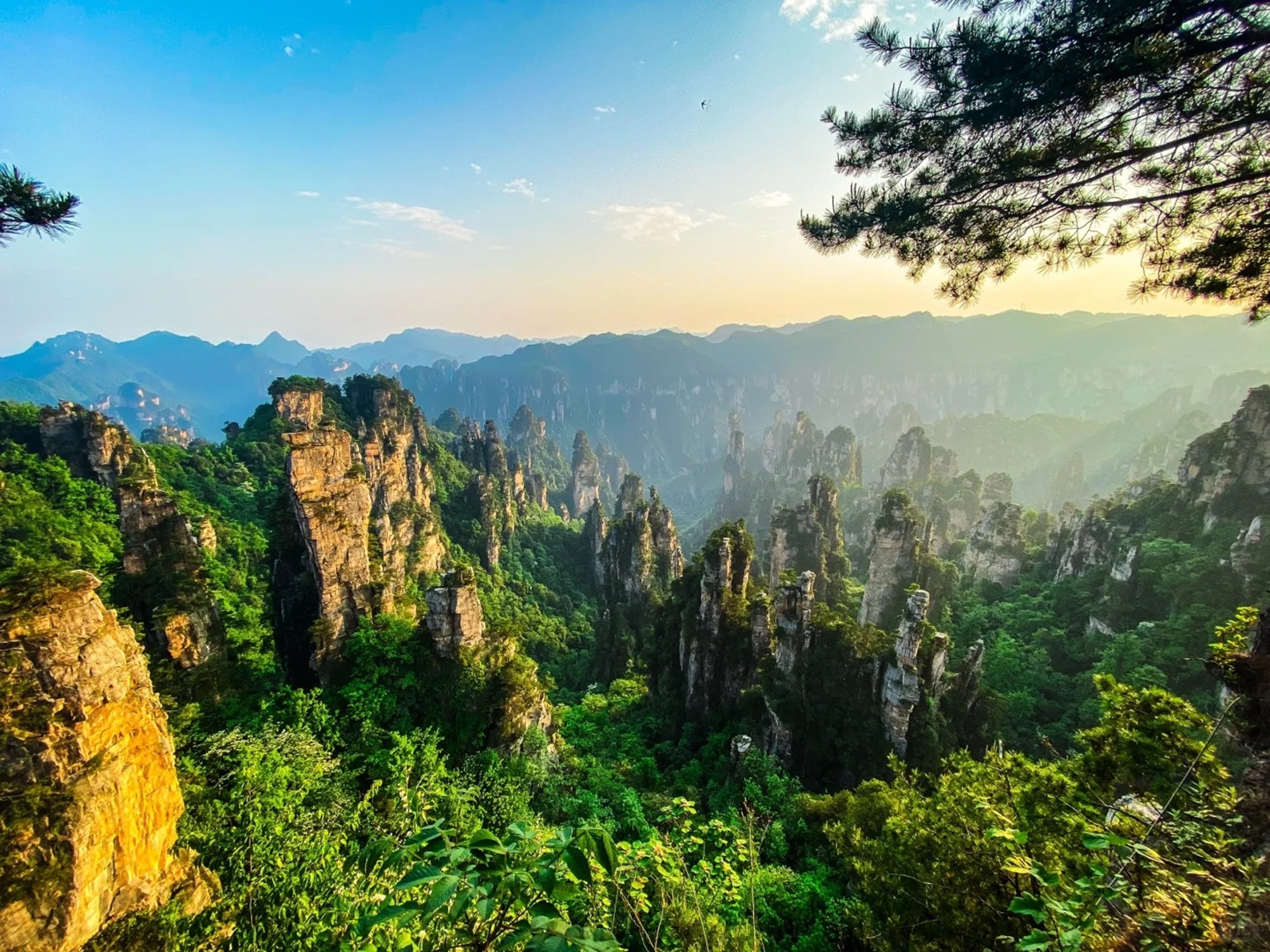 湖南张家界精华3日游（精品四钻酒店+张家界国家森林公园+天子山+奇峰袁家界+黄石寨+阿凡达电影同款+百米天梯）