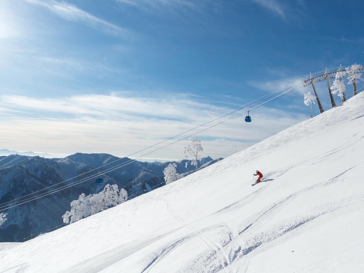 冬季限定: 汤泽GALA/苗场NAEBA滑雪场一日游 (东京出发)