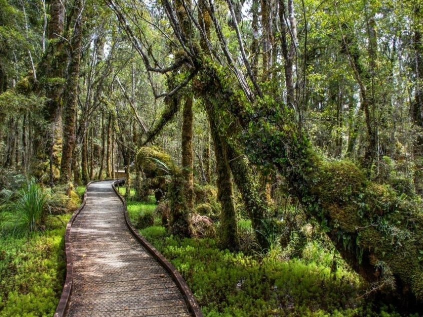 弗朗兹约瑟夫冰川至瓦纳卡小团游